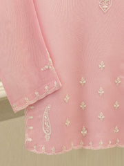 2 Piece - Pure Embroidered Cotton Net Suit S112738