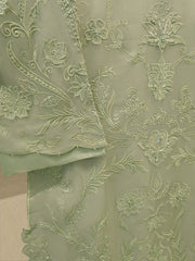 2 Piece - Pure Organza Embroidered Suit S115016