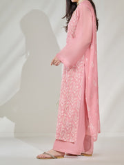 2 Piece - Pure Cotton Net Embroidered Suit S110395