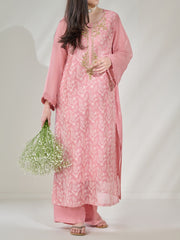 2 Piece - Pure Cotton Net Embroidered Suit S110395