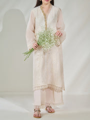 2 Piece - Pure Cotton Net Embroidered Suit S110398