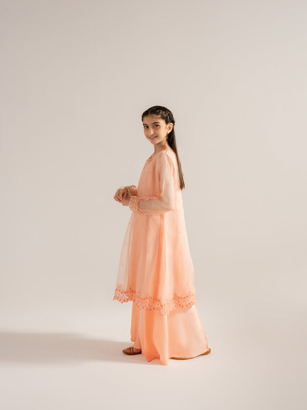 (Kids) 2 Piece - Embroidered Organza Suit KD-006