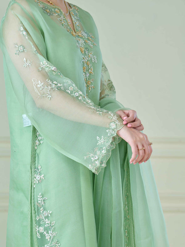 3 Piece - Pure Organza Embroidered Suit S110098