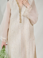 2 Piece - Pure Cotton Net Embroidered Suit S110398