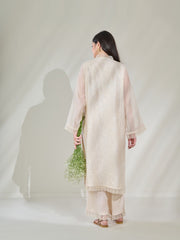 2 Piece - Pure Cotton Net Embroidered Suit S110398