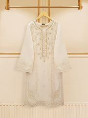 3 Piece- Embroidered Pure Raw Silk Suit S109124