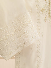 3 Piece- Embroidered Pure Raw Silk Suit S109124
