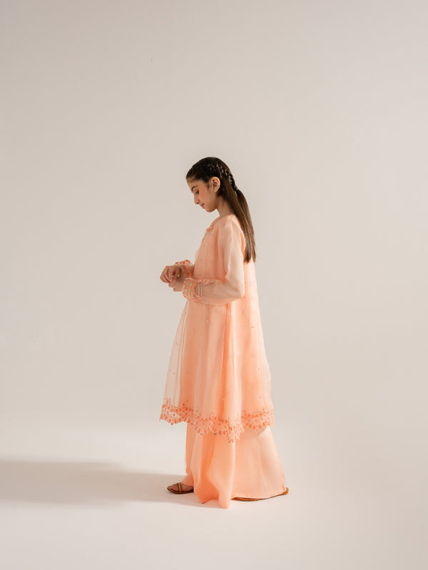 (Kids) 2 Piece - Embroidered Organza Suit KD-006