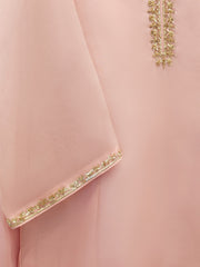 3 Piece - Pure Organza Embroidered Suit S111944