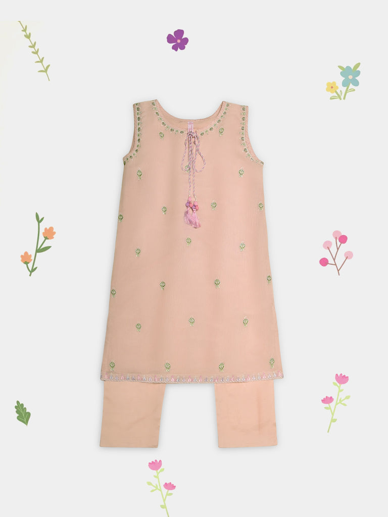 Agha Noor (Kids) 2 Piece - Embroidered Cotton Net Suit KD089, view 1