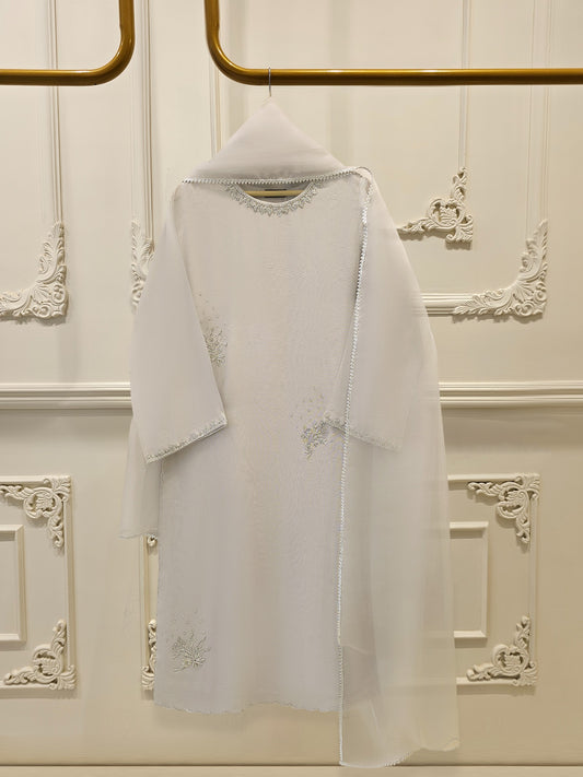 3 Piece - Pure Embroidered Cotton Net Suit S112100