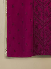 2 Piece - Pure Embroidered Cotton Net Suit S113206