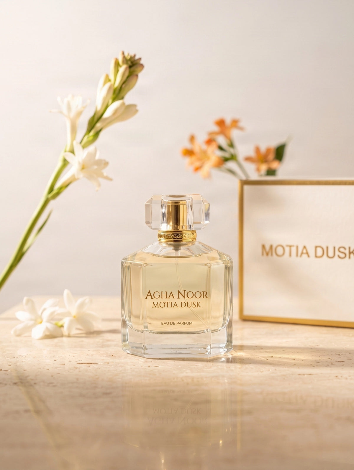 MOTIA DUSK - (PF00006)