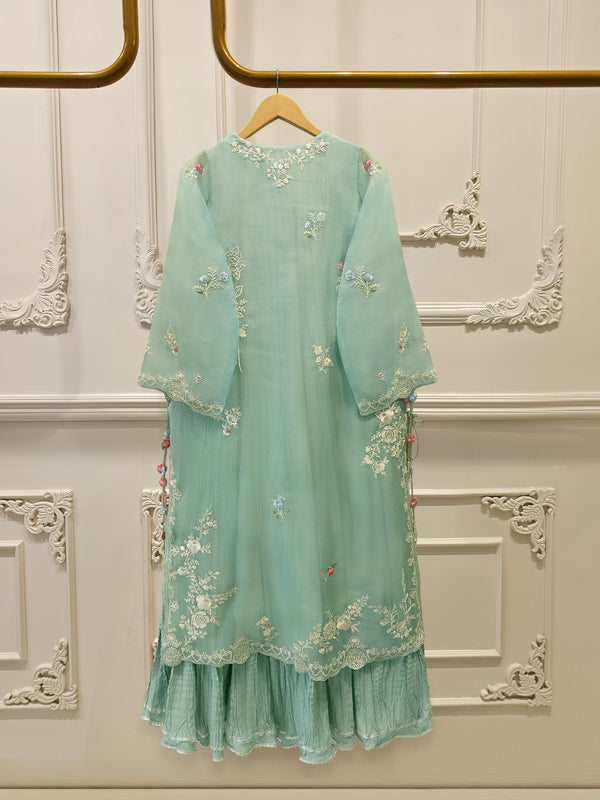 2 Piece - Pure Organza Embroidered Suit S115521