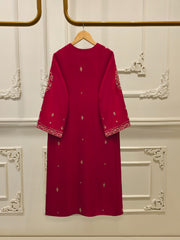 2 Piece - Embroidered Silk Net Suit S112132