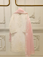 3 Piece - Pure Organza Embroidered Suit S112339