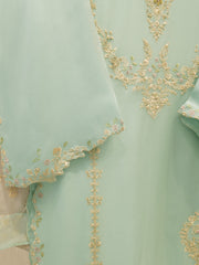 3 Piece - Pure  Chiffon Embroidered Suit S112689