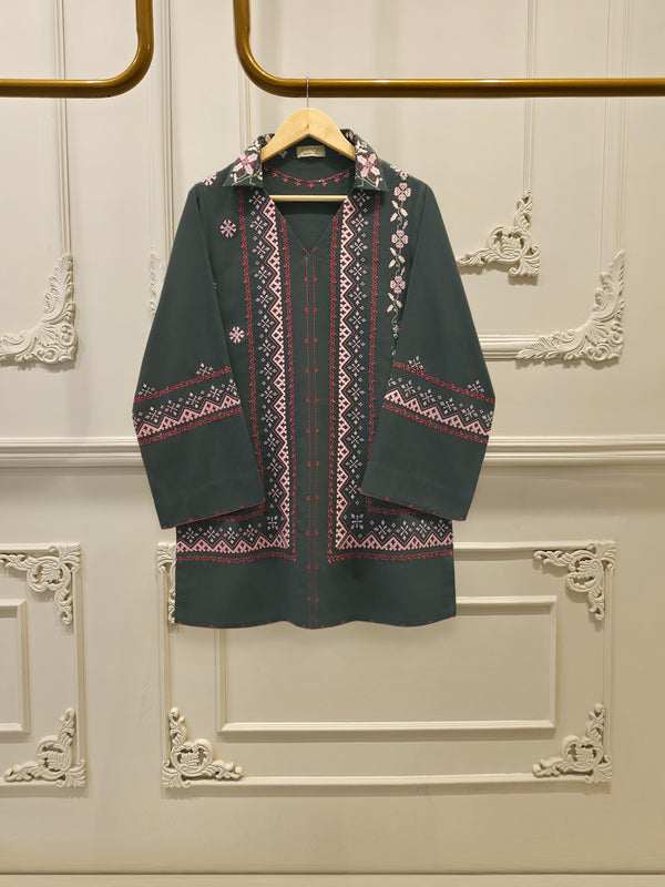2 Piece - Embroidered Georgette Suit WS00206